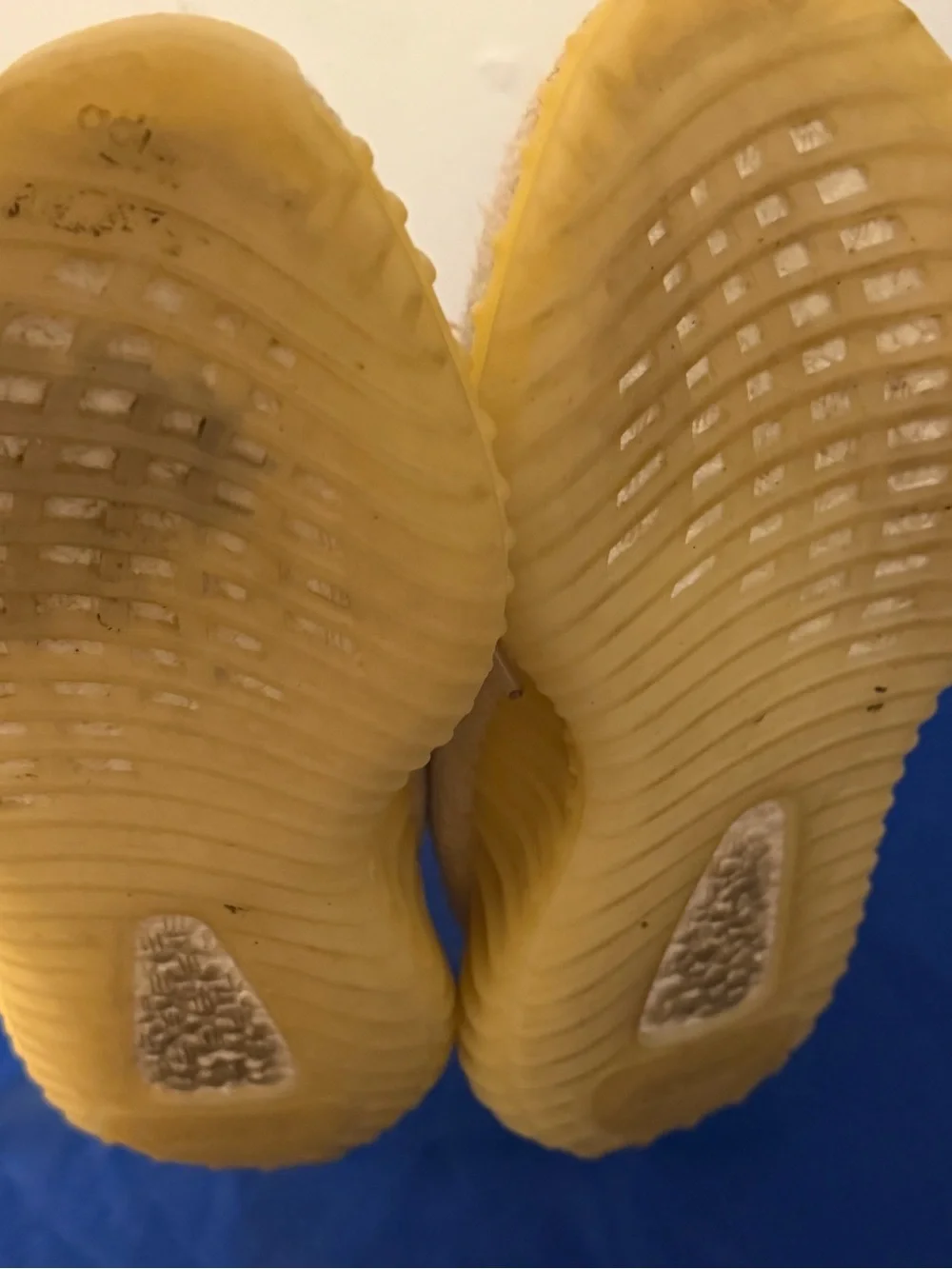 YEEZY Cream Knit Sneakers with gum Sole
